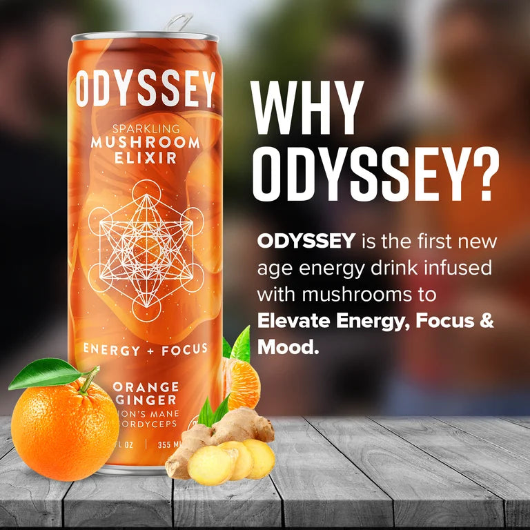 Orange Ginger Sparkling Mushroom Elixir ENERGY + FOCUS, Odyssey