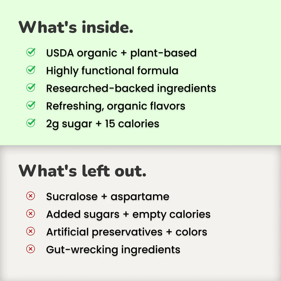 Daily Wellness Sodas - Coconut Lime, 12oz, NOOMA