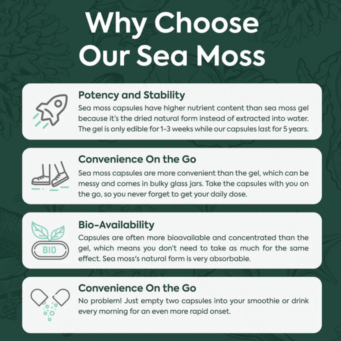 Wild Sea Moss + Bladderwrack + Chlorella, Organic Superfood, 60 Capsules, Organics Ocean