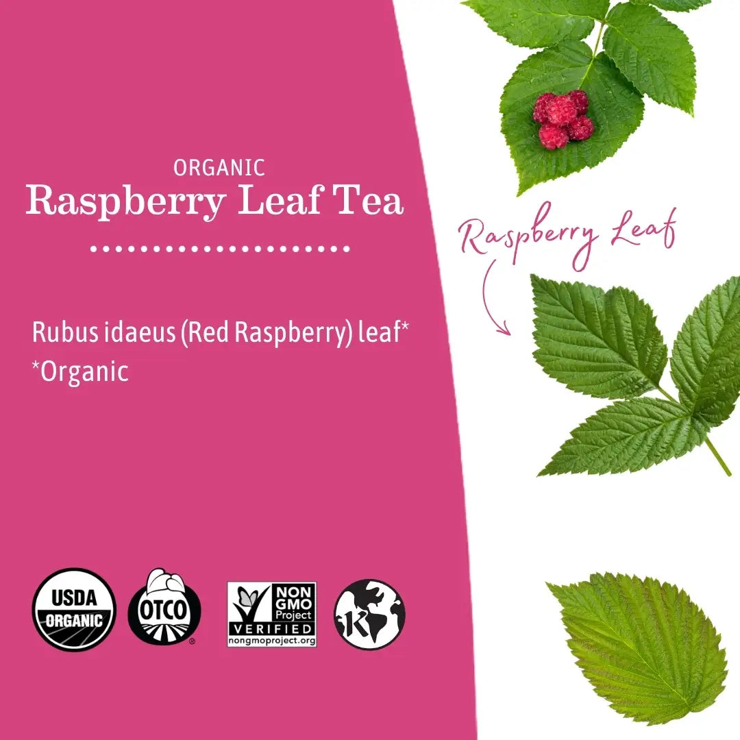 Organic Raspberry Leaf Tea, Earth Mama