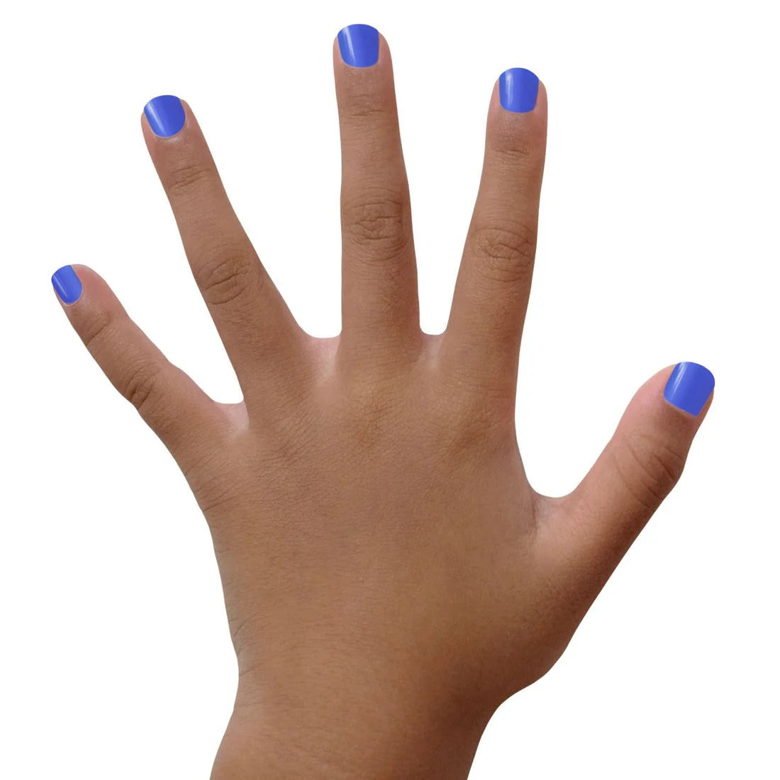 Blueberry Patch - Matte Blue Polish, 0.5oz, Piggy Paint