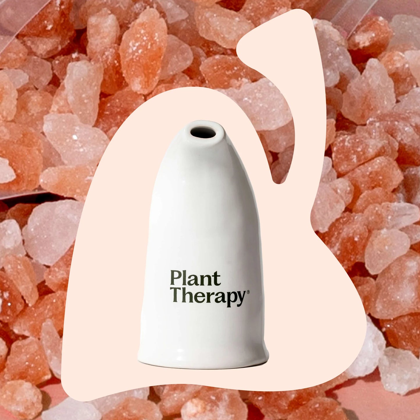 Himalayan Salt Inhaler, Plant Therapy