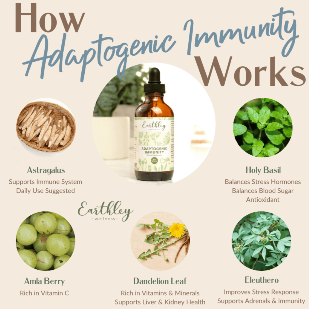 Adaptogenic Immunity - For Daily Stress and Immune Support, 2oz, Earthley