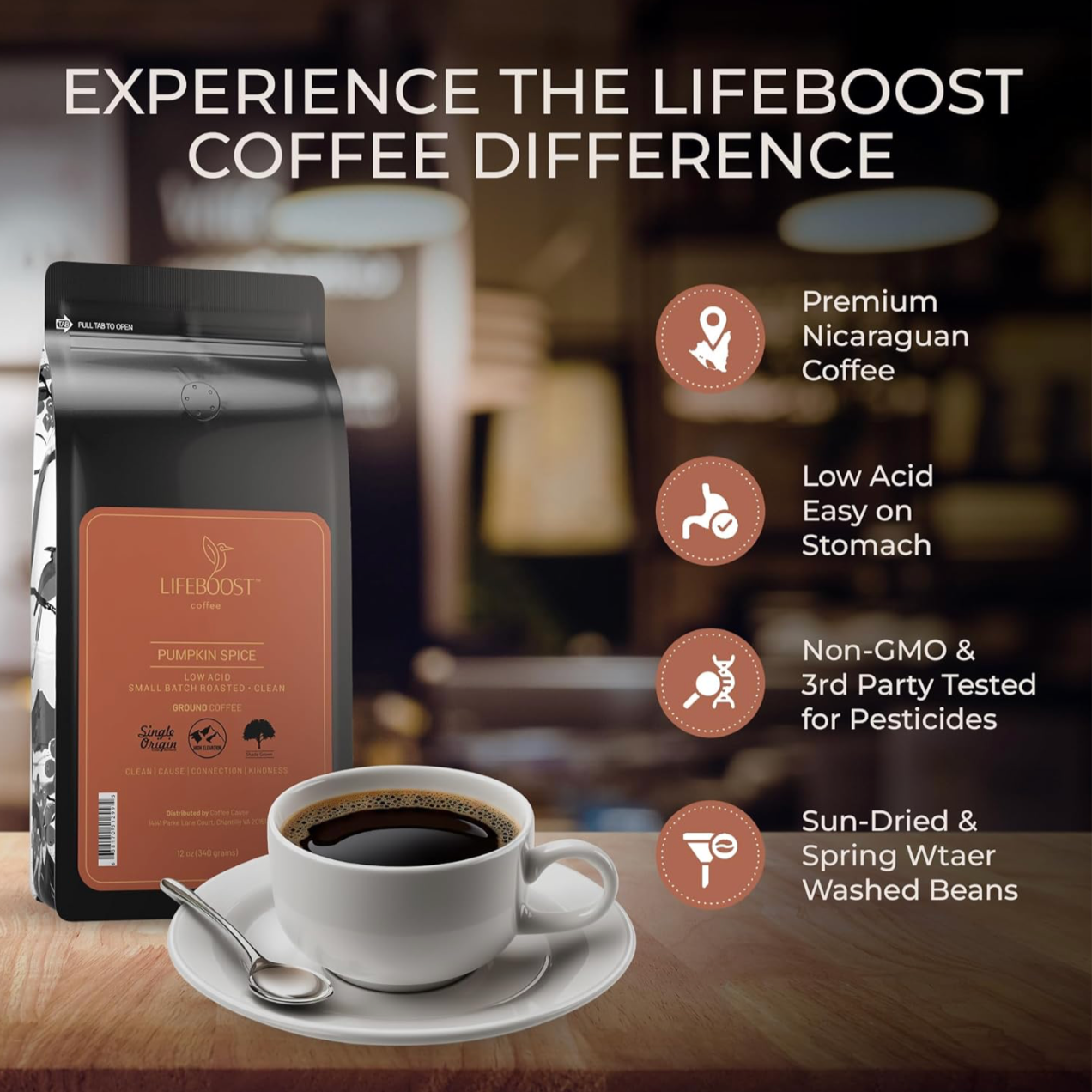 Pumpkin Spice Ground Coffee, 12oz, Lifeboost