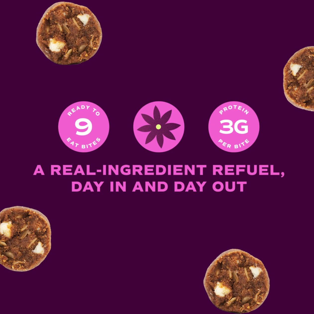 Cinnamon Bun Protein Balls, Grab & Go, 1.5 oz, Day Out
