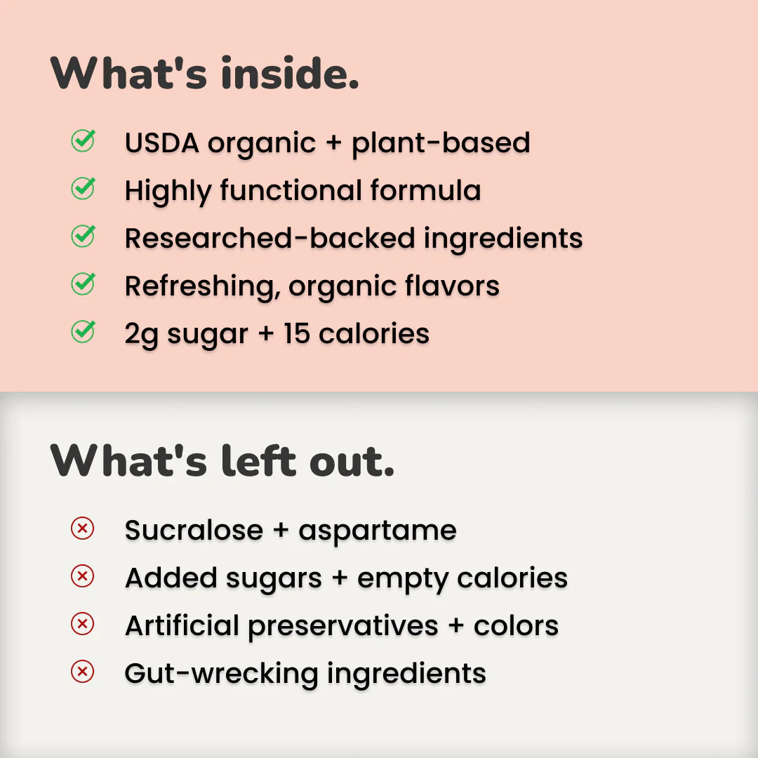 Daily Wellness Sodas - Fruit Punch, 12oz, NOOMA