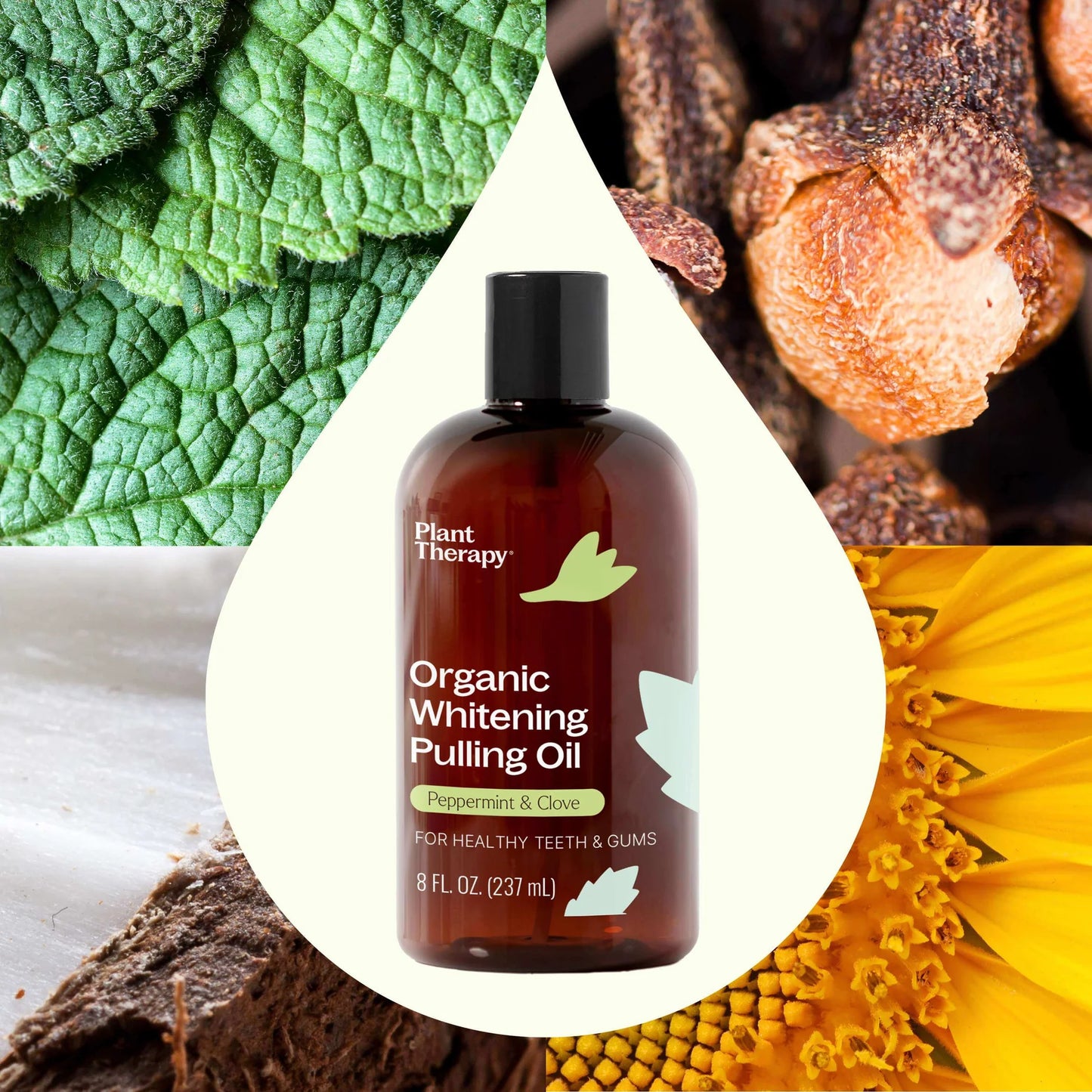 Organic Whitening Pulling Oil, 8oz, Plant Therapy