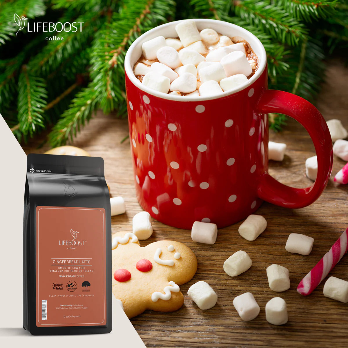 Gingerbread Latte Ground Coffee, 12oz, LifeBoost