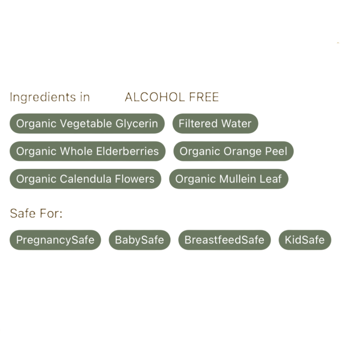 Elderberry Elixer - Respiratory & Immune System Support, Earthley