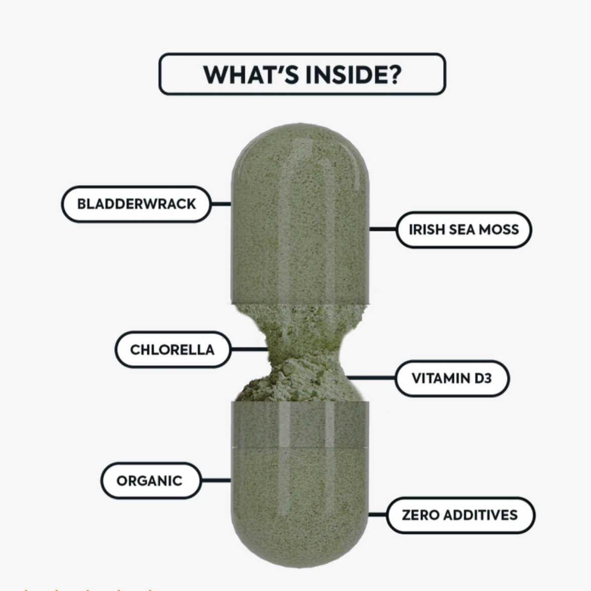 Wild Sea Moss + Bladderwrack + Chlorella, Organic Superfood, 60 Capsules, Organics Ocean