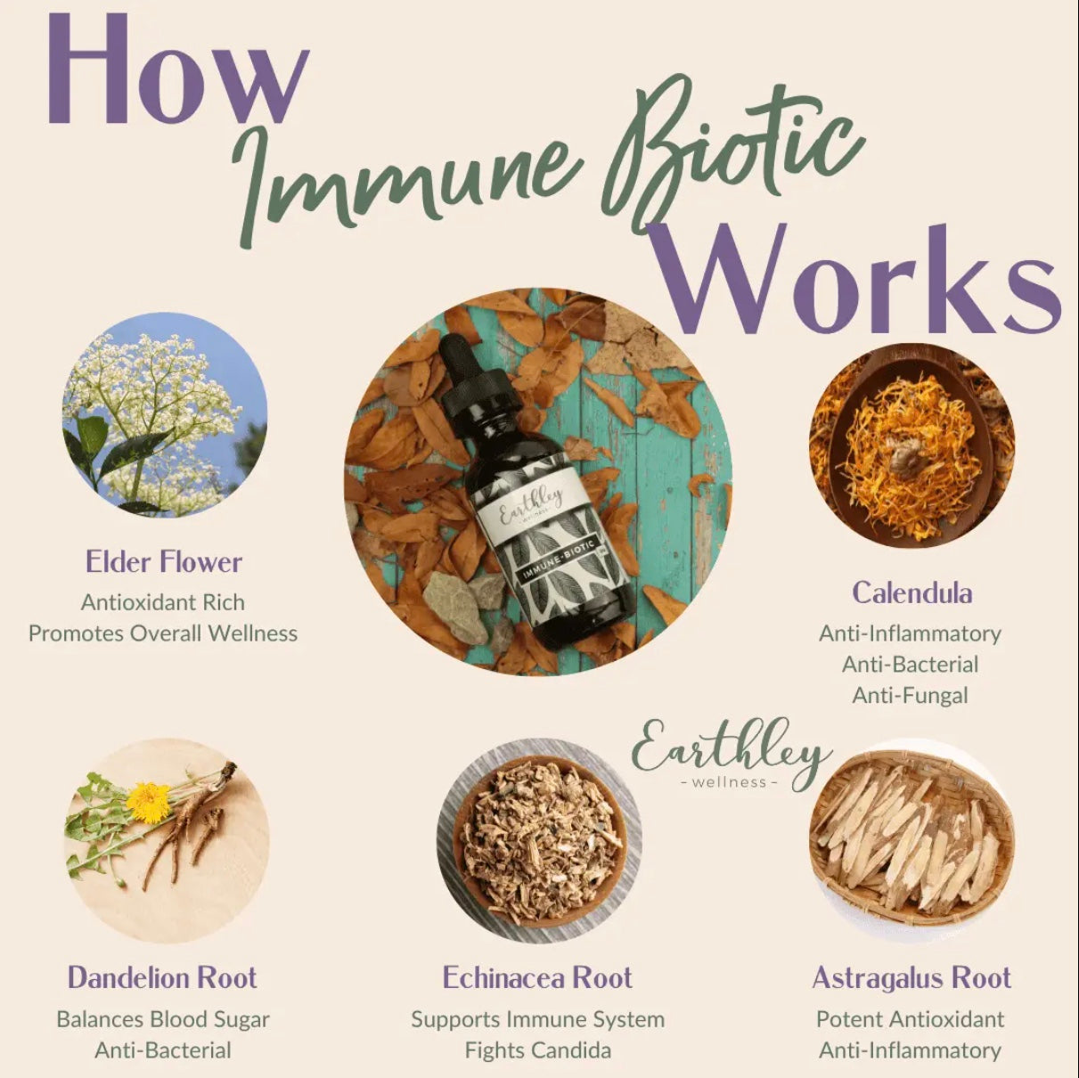 Immune Biotic - Supports a healthy immune system, Earthley