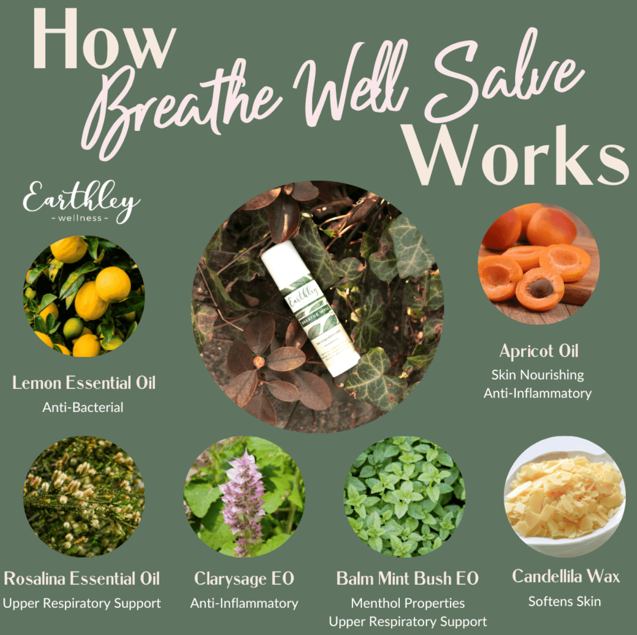 Breathe Well Salve - To Promote Clear Breathing, Earthley