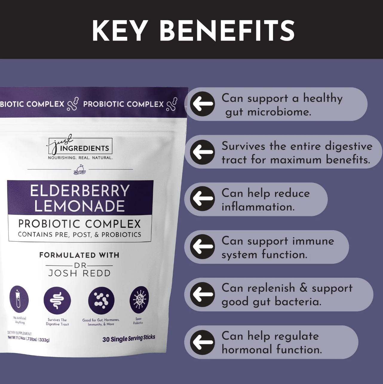 Elderberry Lemonade 3-In-1 Probiotic Complex, 30 Single Serving Sticks, Just Ingredients