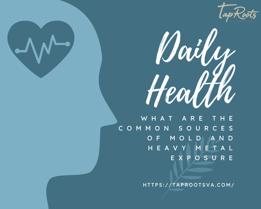 What are the common sources of mold and heavy metal exposure affecting daily health?