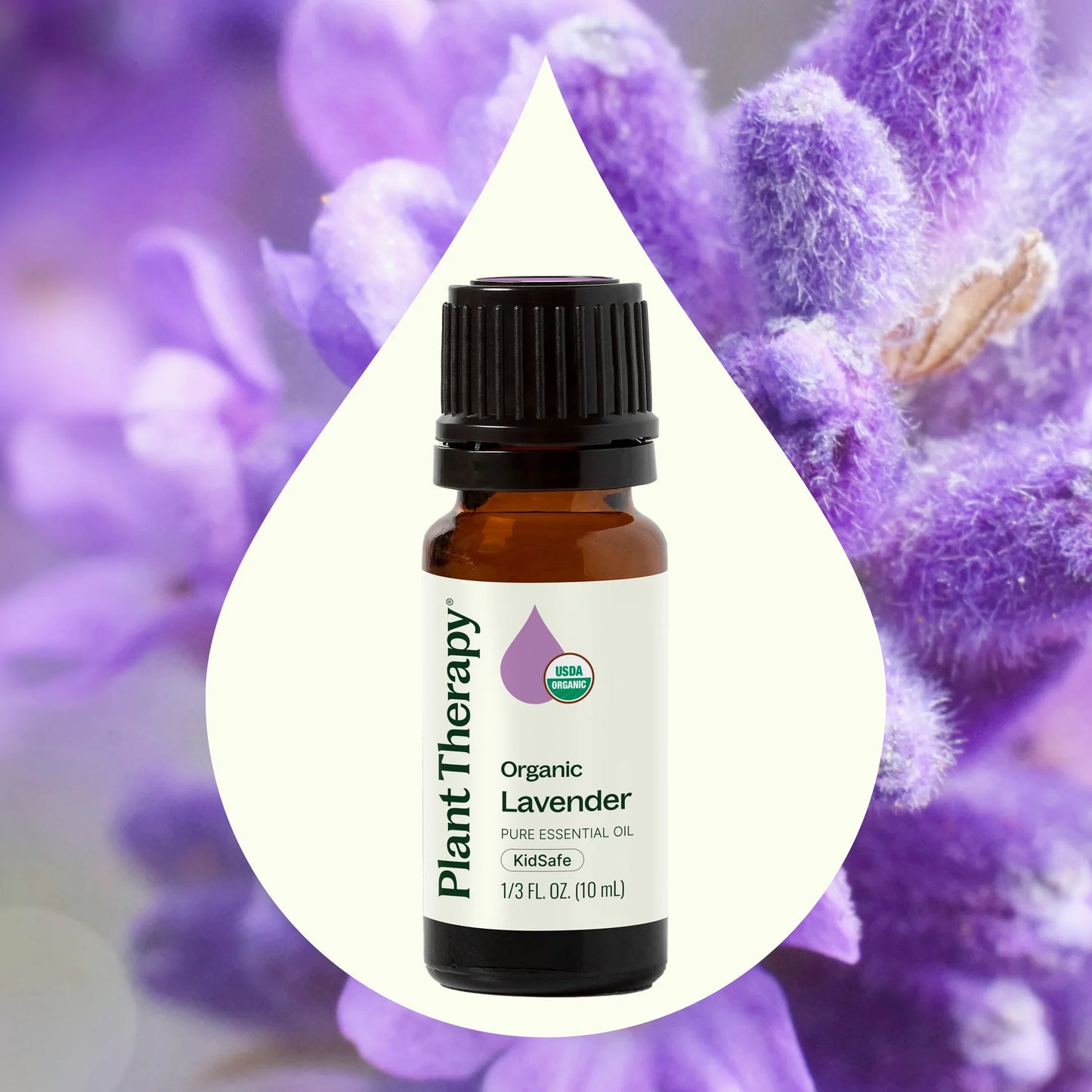 Organic Lavender Essential Oil, 10ml, Plant Therapy