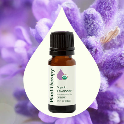 Organic Lavender Essential Oil, 10ml, Plant Therapy