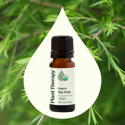 Organic Tea Tree Essential Oil, 10 ml, Plant Therapy
