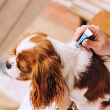 Flea & Tick Spot On For Dogs, Wondercide