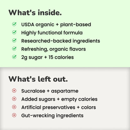 Daily Wellness Sodas - Coconut Lime, 12oz, NOOMA
