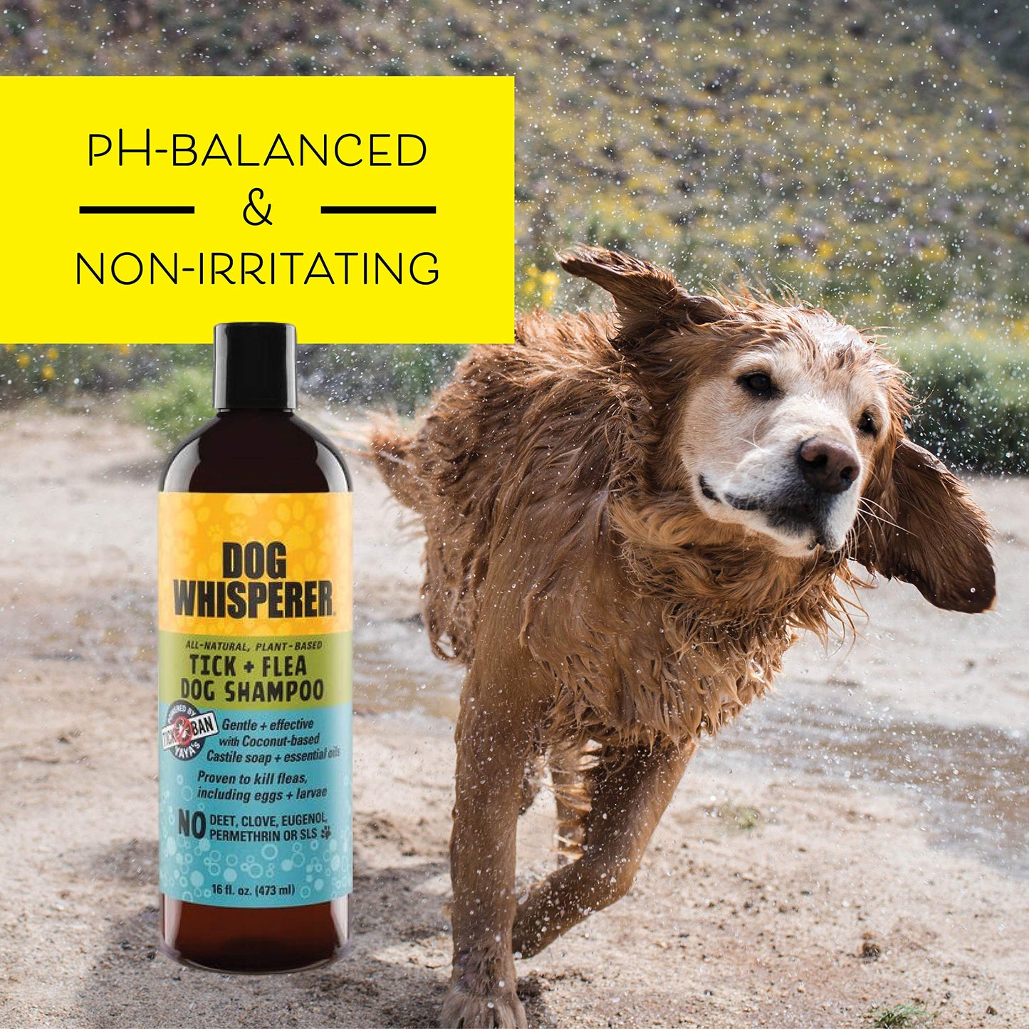 Flea Bluster Dog Shampoo, 16oz, YAYA Organics