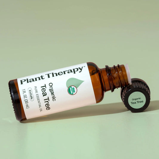 Organic Tea Tree Essential Oil, 10 ml, Plant Therapy