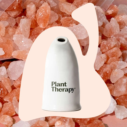 Himalayan Salt Inhaler, Plant Therapy