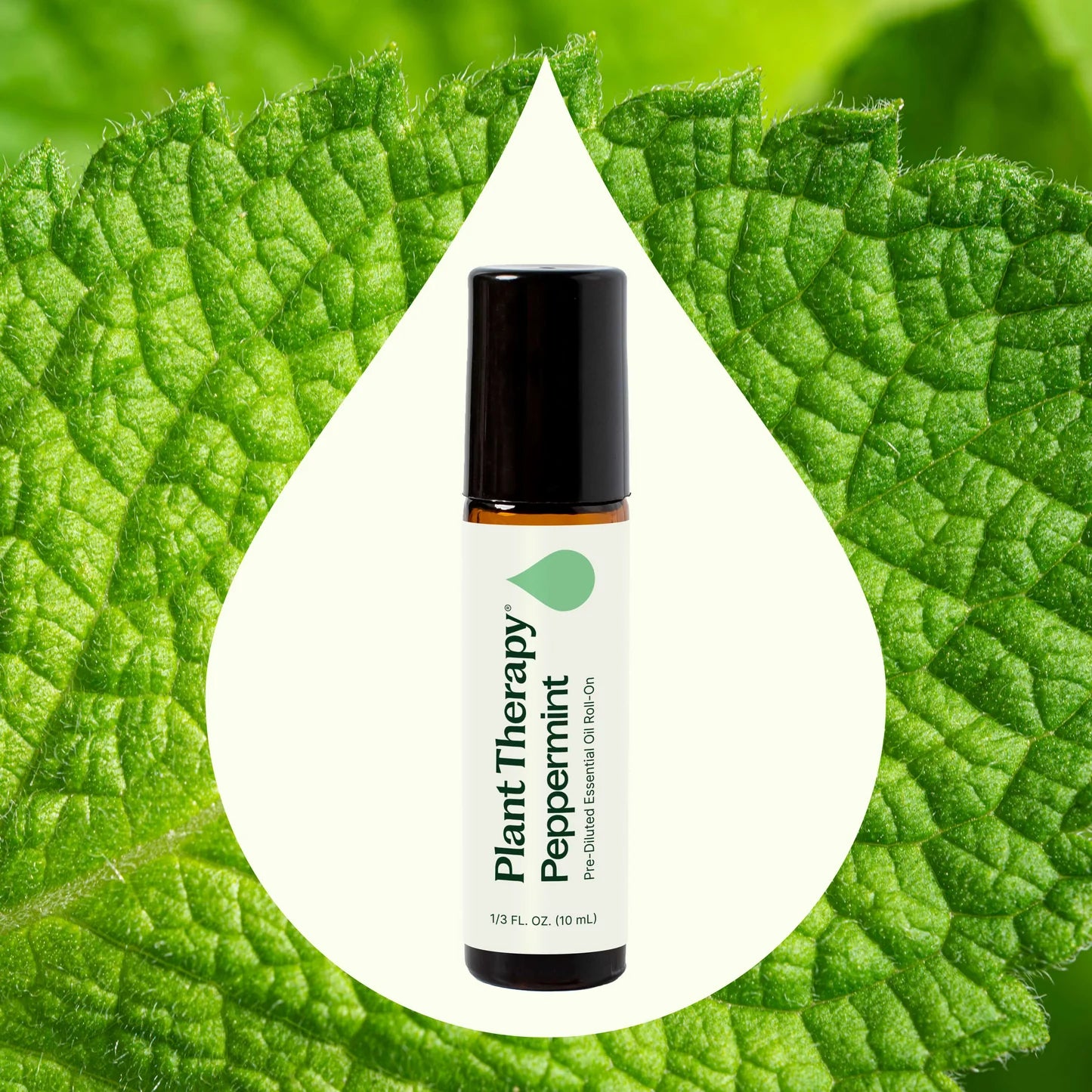 Organic Peppermint Roll On, 10ml, Plant Therapy