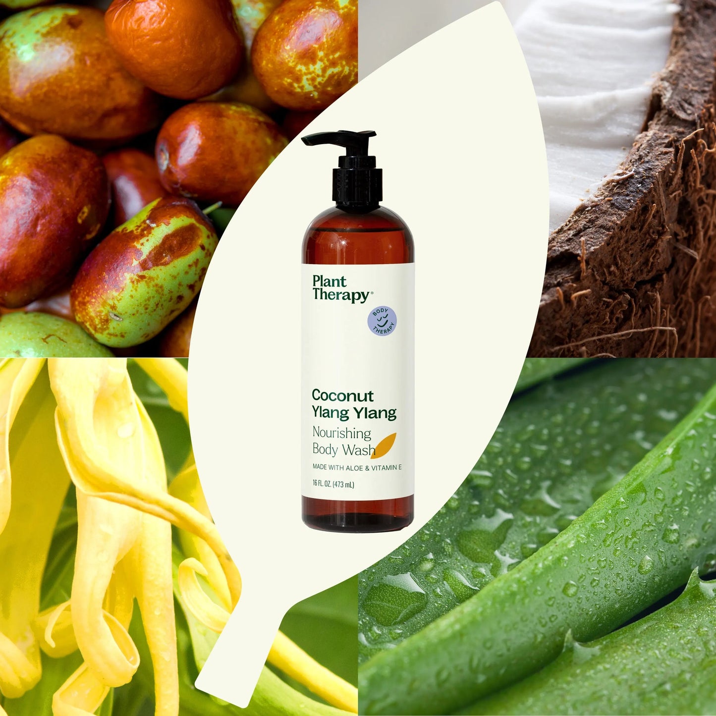 Coconut Ylang Ylang Body Wash, 16oz, Plant Therapy
