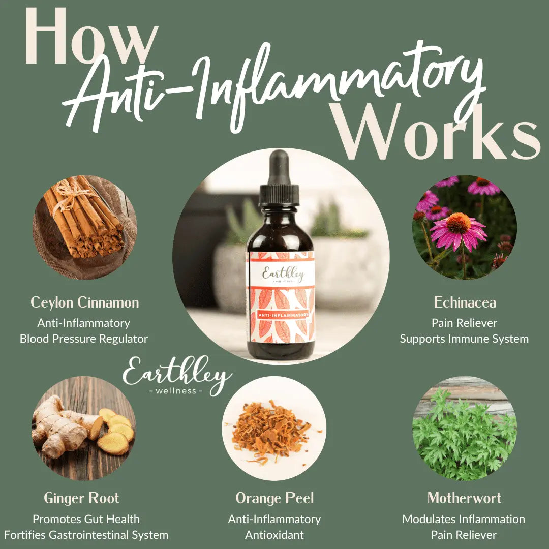 Anti Inflammatory - For Inflammation, 1-4oz, Earthley