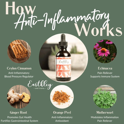 Anti Inflammatory - For Inflammation, 1-4oz, Earthley