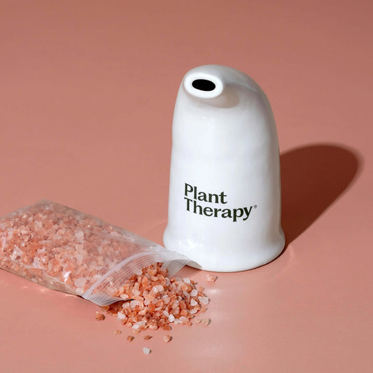 Himalayan Salt Inhaler, Plant Therapy