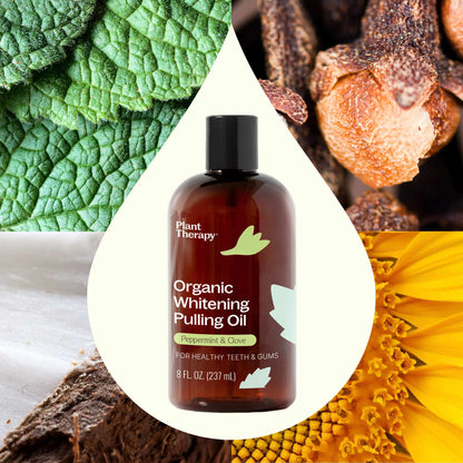 Organic Whitening Pulling Oil, 8oz, Plant Therapy