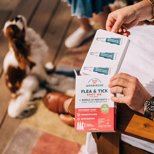 Flea & Tick Spot On For Dogs, Wondercide