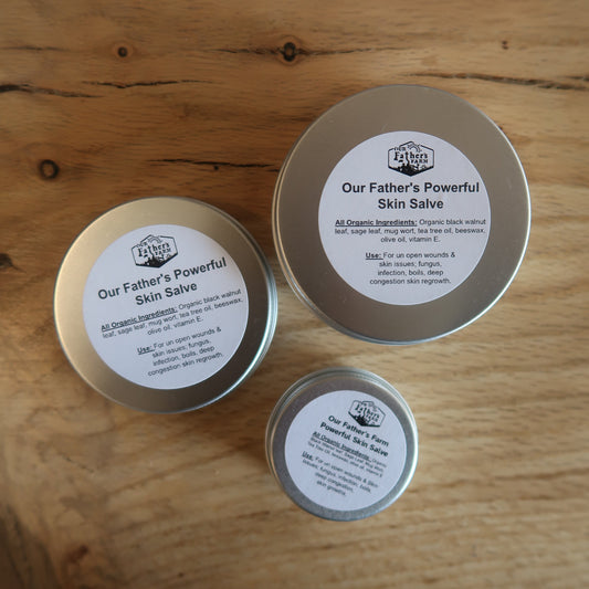 Powerful Skin Salve, 1-4oz, Our Father's Farm