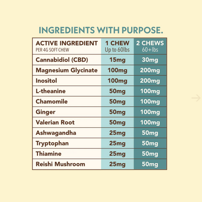 CBD + Mushroom Pet Chews (Wellness Blend)