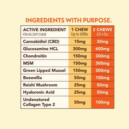 CBD + Mushroom Pet Chews (Daily Support Formula)