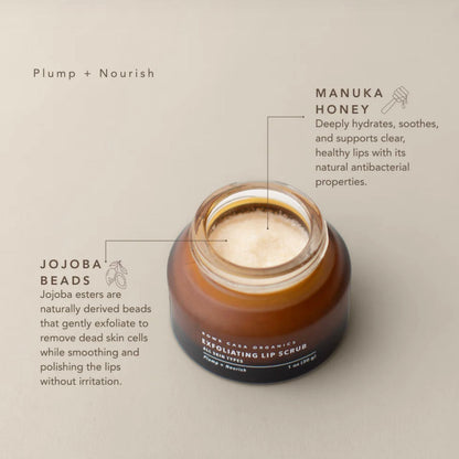 Exfoliating Lip Scrub - Plumping & Smoothing, 1oz, Rowe Casa Organics