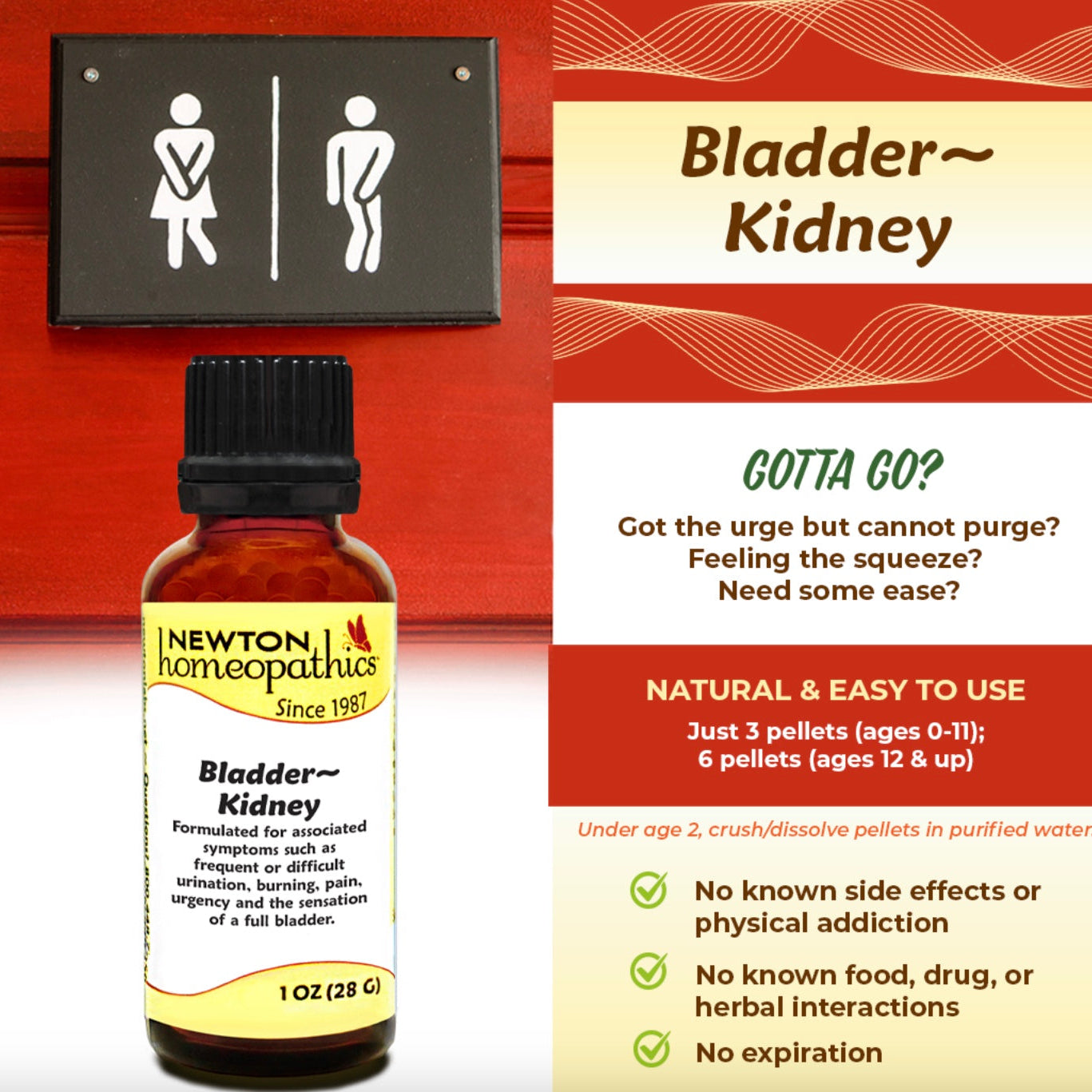 Bladder - Kidney, 1oz, Newton Homeopathics