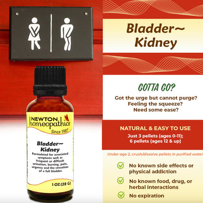 Bladder - Kidney, 1oz, Newton Homeopathics