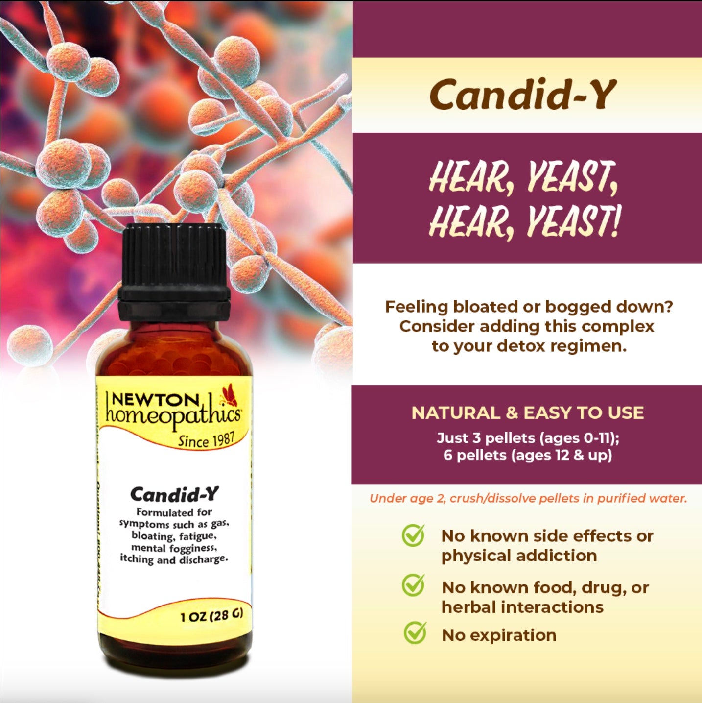 Candid-Y, 1oz, Newton Homeopathics