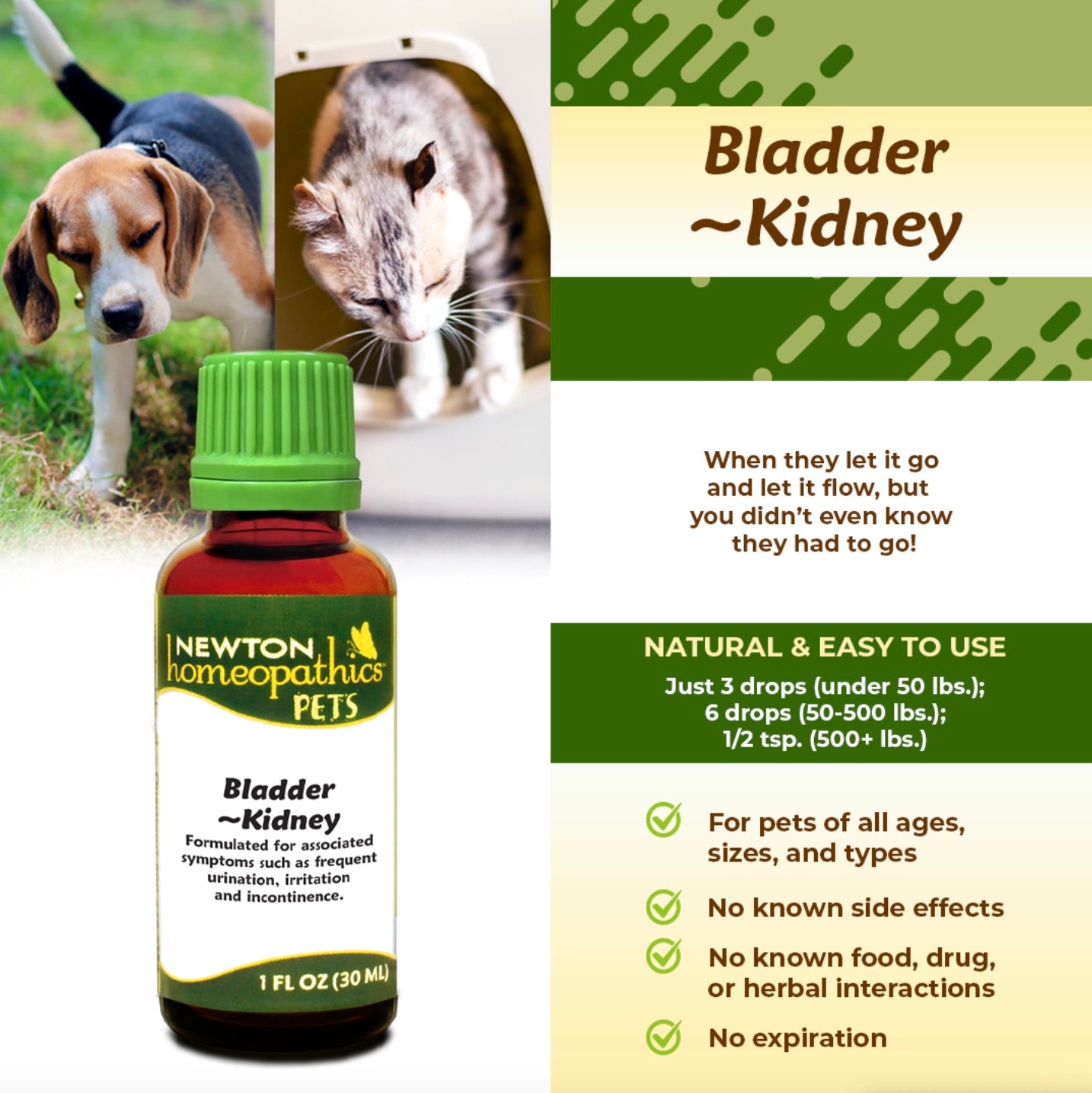 Pets Bladder & Kidney, Liquid 1oz, Newton Homeopathics