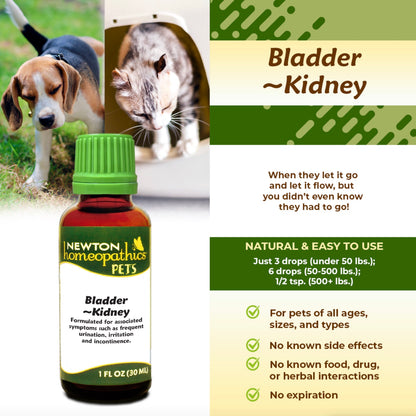 Pets Bladder & Kidney, Liquid 1oz, Newton Homeopathics