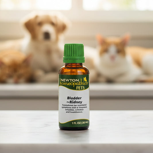 Pets Bladder & Kidney, Liquid 1oz, Newton Homeopathics