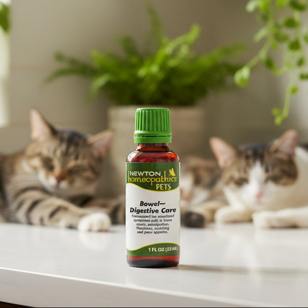 Pets Bowel - Digestive Care, Liquid 1oz, Newton Homeopathics