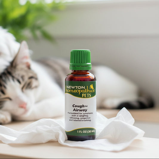 Pets Cough & Airway, Liquid 1oz, Newton Homeopathics
