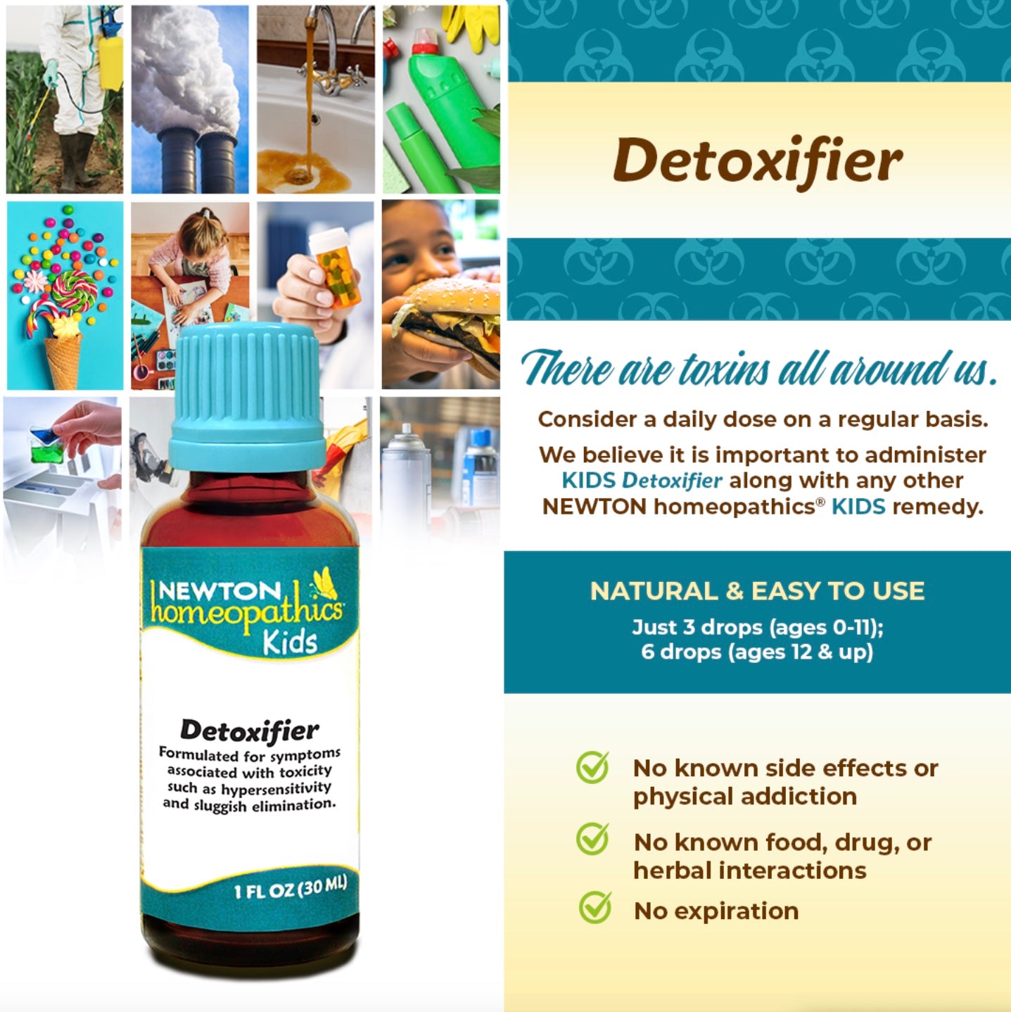 Kids Detoxifier, 1oz, Newton Homeopathics