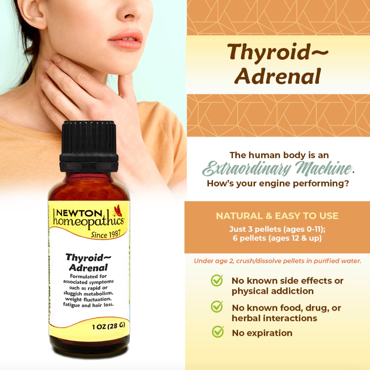 Thyroid & Adrenal, 1oz, Newton Homeopathics