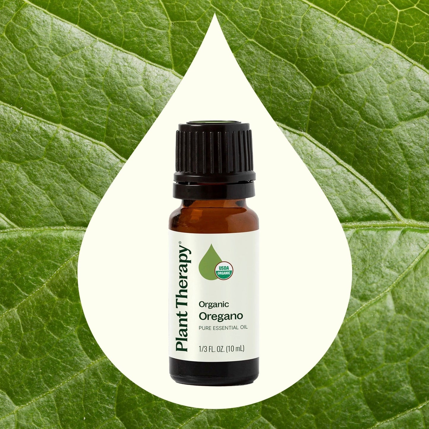Organic Oregano Essential Oil Blend, 10ml, Plant Therapy