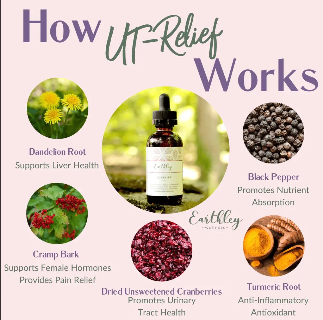 UT Relief - For kidney and urinary tract health, 2oz, Earthley