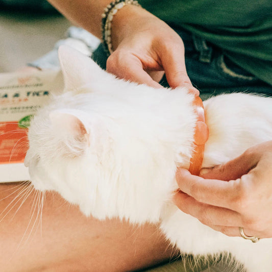 Flea & Tick Collar For Cats, Wondercide